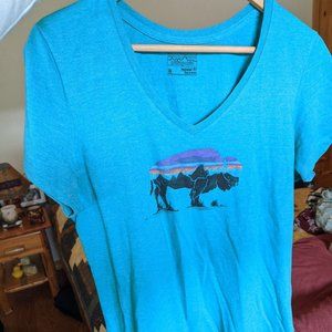 New Patagonia T-shirt